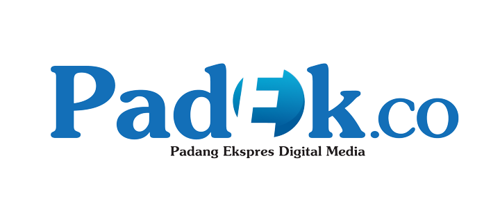 Padek.co